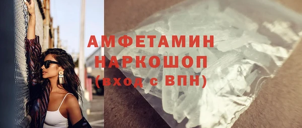 индика Горняк