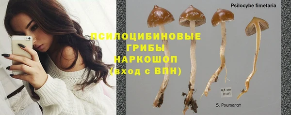 COCAINE Вяземский