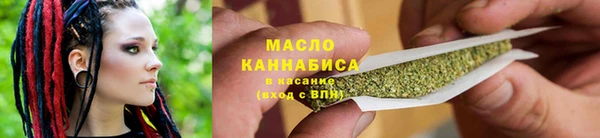 индика Горняк