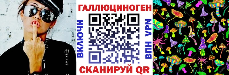 Галлюциногенные грибы Psilocybe  мориарти Telegram  Юрьевец  цена наркотик 